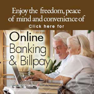online-banking21